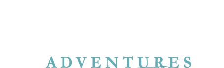 Captain's Log - Stress-Free Cruise & Vacation Planning